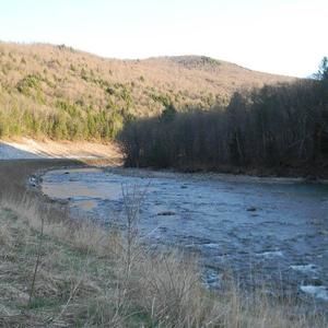 Meet your Posher, Tracey